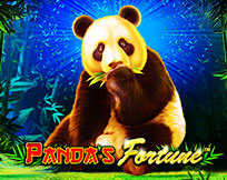 Panda's Fortune